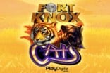 fort-knox-cats