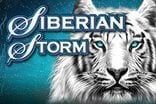 siberian-storm