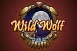 wild-wolf